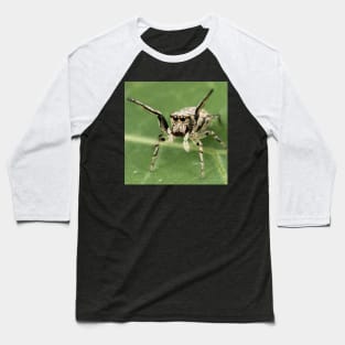 Jumping Spider Baseball T-Shirt